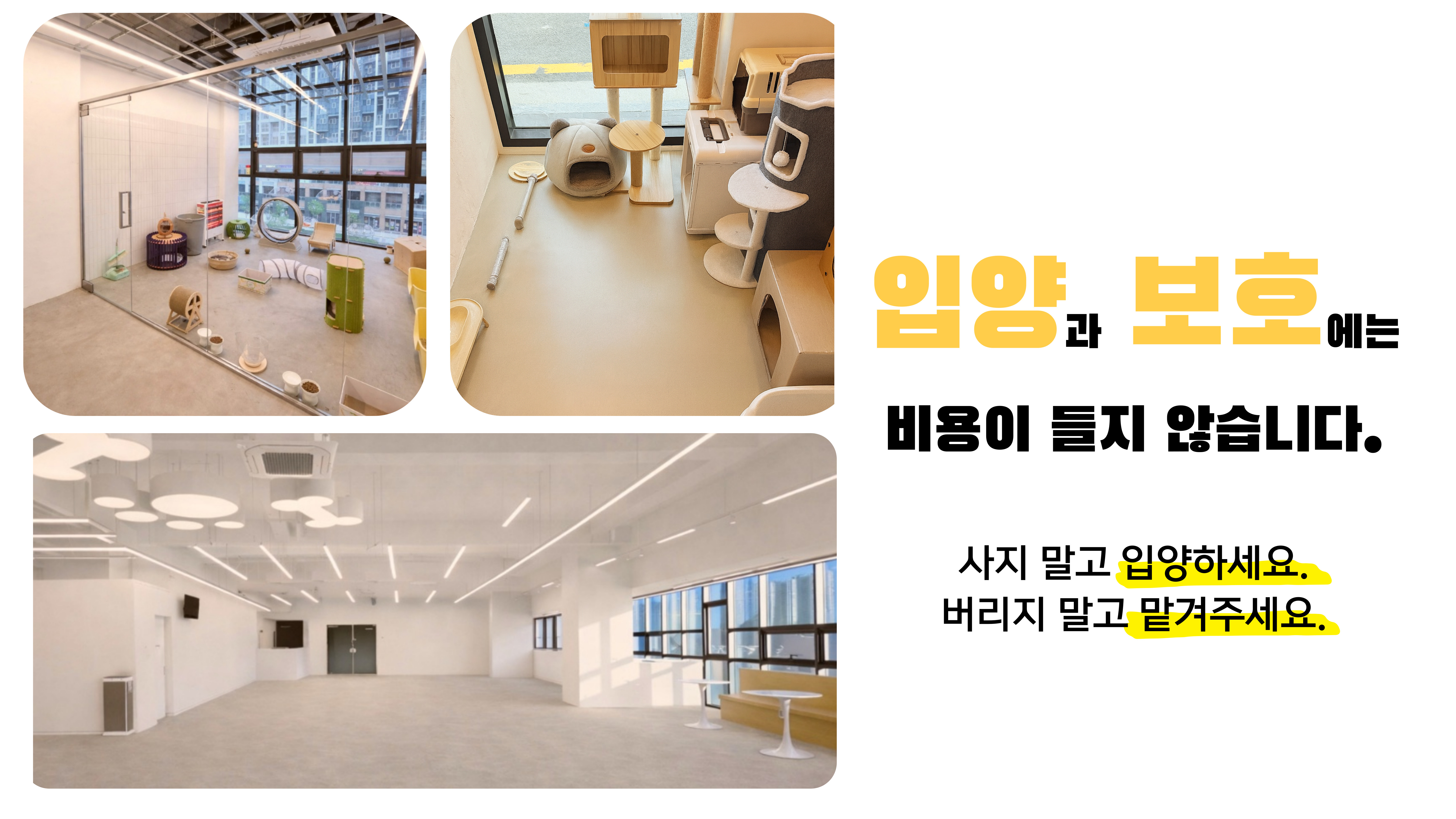 입양과 보호 안내